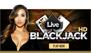 HD Casino Websites